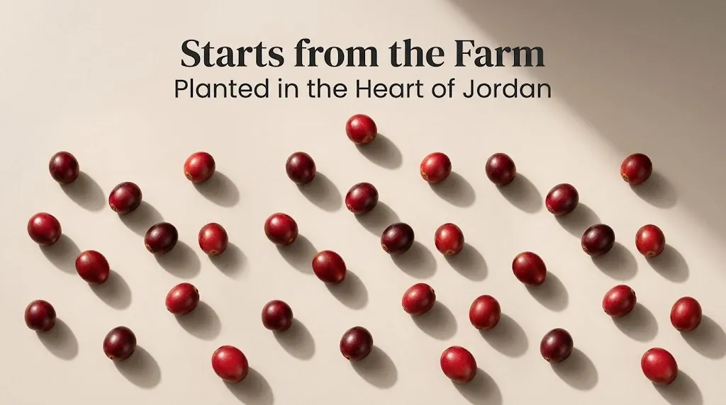 Starts from the Farm
